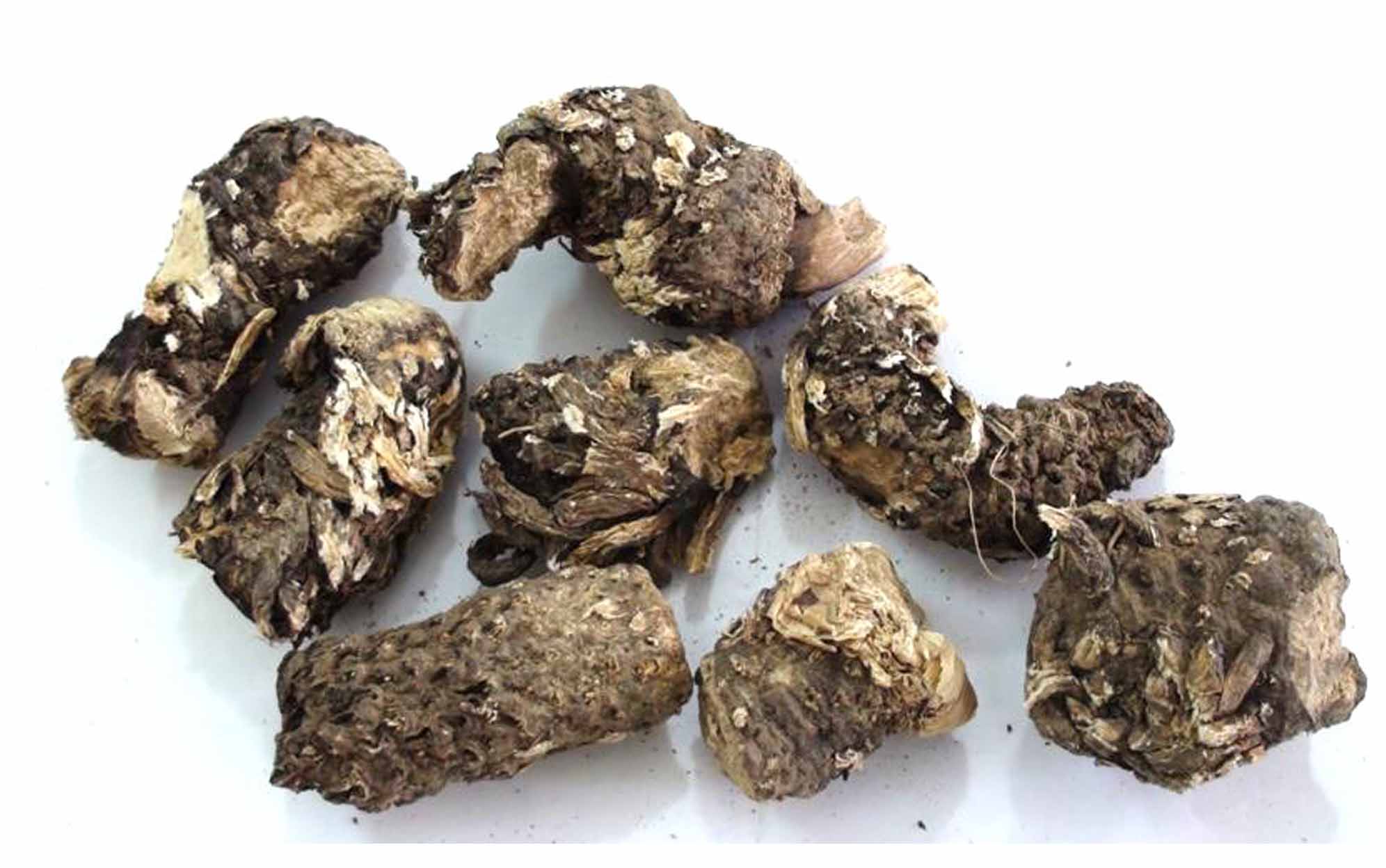 خرید روغن کندش اصل برای مو + قیمت